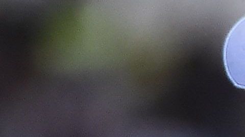 cha

La jornada 15 del Apertura 2019 continúa este sábado.