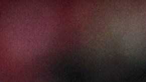 Los felinos y el rebaño empataron a un tanto.