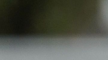 Los jugadores del Tri han recibido críticas y comentarios negativos tras no tener contacto con dos aficionados.