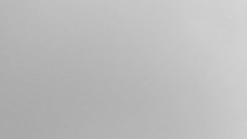 Jugadores de los 'Tiburones' planean no jugar y esperan apoyo de sus colegas.