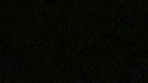 André-Pierre Gignac anotó el segundo gol para Tigres