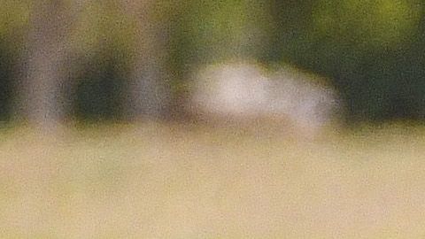 El Tri espera sumar su primera victoria cuando enfrente a Paraguay.