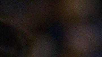 Chivas aún tiene posibilidades de llegar a la Liguilla aunque en el papel sería un verdadero milagro.