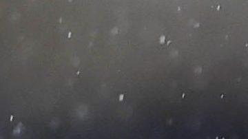 Pumas y Atlas van por triunfos que los acerquen a los primeros 8.