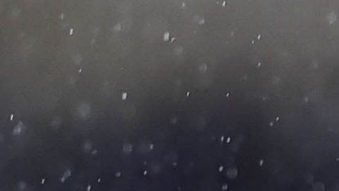 Pumas y Atlas van por triunfos que los acerquen a los primeros 8.