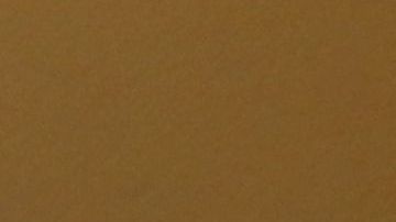 El nuevo líder de la minoría demócrata del Senado, Charles Schumer, prometió luchar por los "DREAMers" y contra el muro fronterizo.  Foto: María Peña/Impremedia