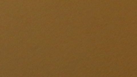 El nuevo líder de la minoría demócrata del Senado, Charles Schumer, prometió luchar por los "DREAMers" y contra el muro fronterizo.  Foto: María Peña/Impremedia