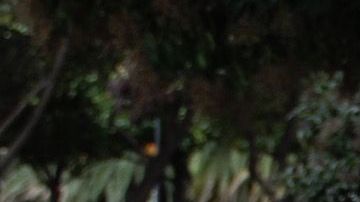 Hugo Barrueta,deportado hace tres años, tiene que sobrevivir en las calles de la CDMX.