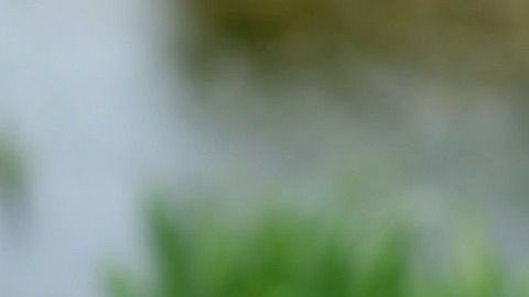 La app busca darle el tiempo suficiente a las personas para que se preparen al momento del terremoto.