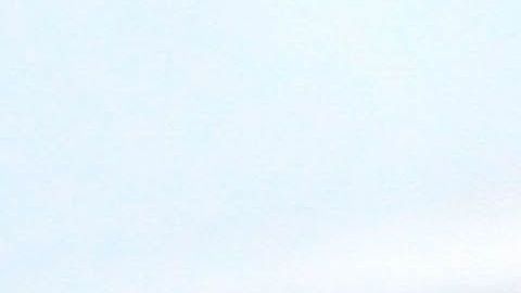 Los hongos tienen muchas propiedades alimenticias.