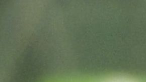 Jose Juan Macias,el mejor goleador mexicano del  torneo con solo 19 años.