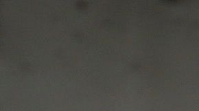 Marysol Sosa llegando al funeral de su padre.