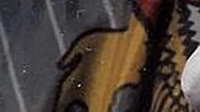 José Segovia Benítez