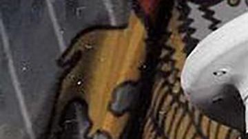 José Segovia Benítez