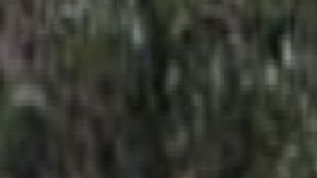 La matan con tiro de gracia donde el CJNG y Los Zetas mantienen disputa