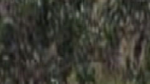 La matan con tiro de gracia donde el CJNG y Los Zetas mantienen disputa