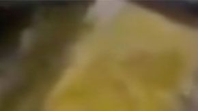 Hasta el momento, no se sabe si el ladrón fue entregado a las autoridades.