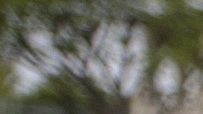 El Hyundai Nexo es uno de los pocos tres autos de hidrógeno en los Estados Unidos con celdas que se recargan por sí solas