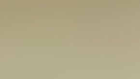 Lauren Summer aseguró que lo volvería a hacer ya que todo se debió a una campaña para concientizar sobre el cáncer de mama.