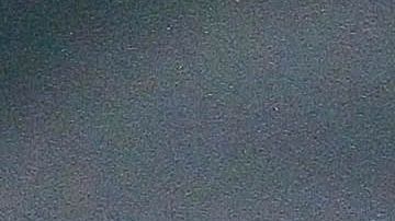 Igor Lichnovsky asegura que necesitan tiempo para adaptarse al estilo de Siboldi.