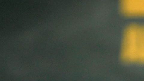 Lili Estefan hace una participación en "Zombieland: Double Tap"