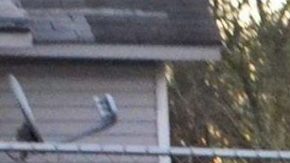 Ignacio Lanuza fue víctima del engaño de un agente de inmigración.