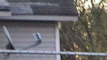 La agencia no ha reportado oficialmente los arrestos.