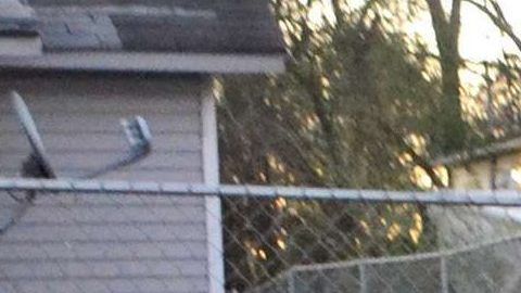 La agencia no ha reportado oficialmente los arrestos.