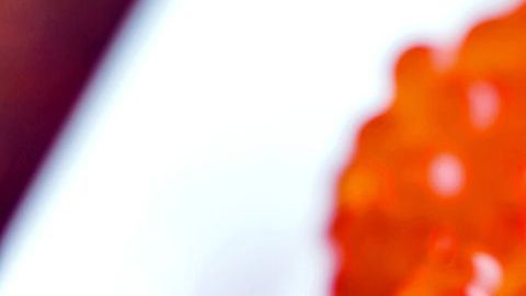 Conoce nuestra selección de los alimentos más exquisitos de todo el mundo, sin duda son un viaje en la cultura y tradiciones de grandes países.