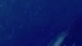 Mayeli Rivera Alonso y Lupillo Rivera