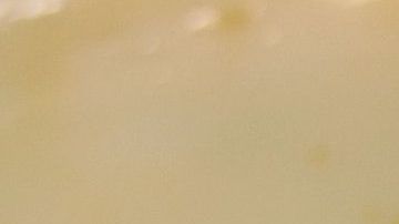 Manjar-Felipe Sasso-Flkr