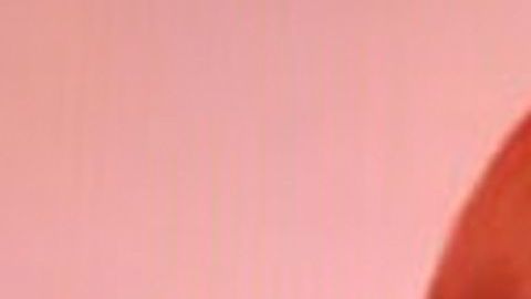 María Celeste Arrarás