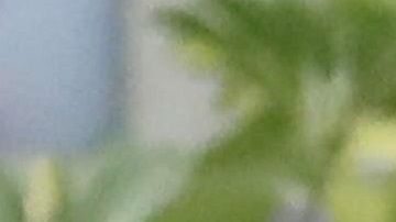 Martín Vizcarra, presidente peruano.