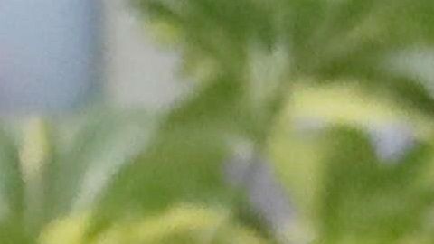 Martín Vizcarra, presidente peruano.