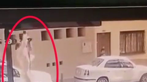 Fuga de Aída Merlano.