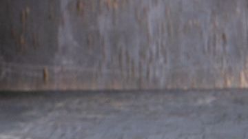 Estas pequeñas bolitas aportan grandes propiedades nutricionales y medicinales; conoce las principales ventajas de consumirla e intégrala en tu dieta diaria.