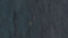 Ensalada tibia de frijoles de soya