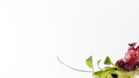 Esta receta de tacos dorados de flor de jamaica es una excelente alternativa para evitar el uso de proteínas animales, son perfectos para dietas vegetarianas y personas que padecen diabetes, colesterol alto y sobrepeso.