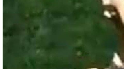 Los militares están distribuidos en distintas zonas de Chile, no solo en la capital.