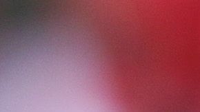 Antonio Mohamed vuelve por sus fueros a la Liga MX.