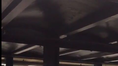 La escena fue inusual en el Subway.