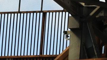 Los fanáticos italianos son de los más radicales alrededor del mundo.