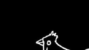 Screenshot video Peta  US