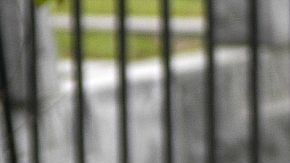 Naveah Lashay Adams, en una foto distribuida por el Dpto. de Policía de Sumter