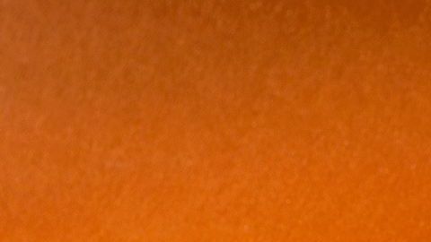 El té negro es una bebida con grandes poderes antioxidantes, de tal manera que actúa como un poderoso protector del organismo fortaleciendo el sistema inmunológico.