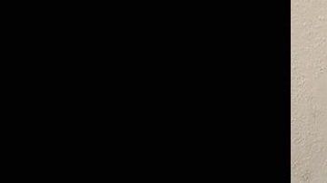 Ovidio Guzmán López