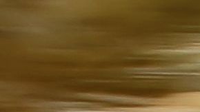 El Rolls-Royce Cullinan combina lujo y comodidad con todo terreno