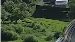 Los amorosos nunca pensaron que alguien los grabaría estando tan alto.