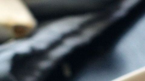 Los tacos de pasta son una excelente alternativa como almuerzo o merienda ¡A los niños les encantarán!