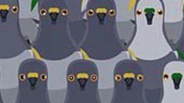 Reto visual que trata de encontrar al gato entre las palomas.